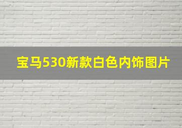 宝马530新款白色内饰图片