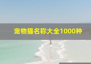 宠物猫名称大全1000种