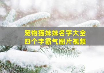 宠物猫妹妹名字大全四个字霸气图片视频