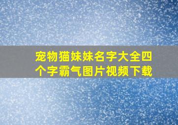 宠物猫妹妹名字大全四个字霸气图片视频下载