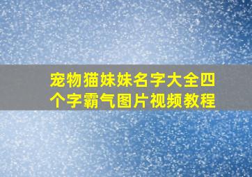 宠物猫妹妹名字大全四个字霸气图片视频教程