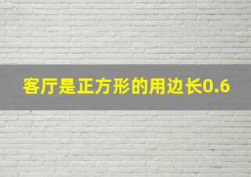 客厅是正方形的用边长0.6