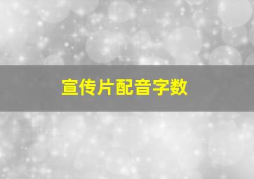 宣传片配音字数