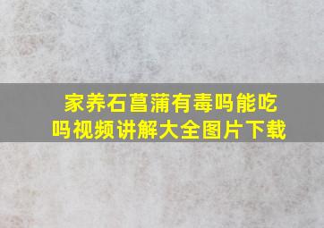 家养石菖蒲有毒吗能吃吗视频讲解大全图片下载