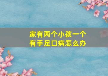 家有两个小孩一个有手足口病怎么办