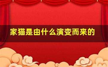 家猫是由什么演变而来的