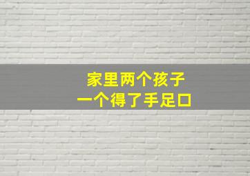 家里两个孩子一个得了手足口