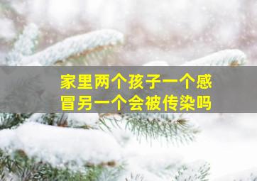 家里两个孩子一个感冒另一个会被传染吗