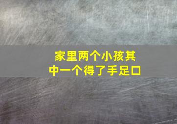 家里两个小孩其中一个得了手足口