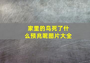 家里的鸟死了什么预兆呢图片大全