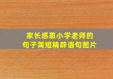 家长感恩小学老师的句子简短精辟语句图片