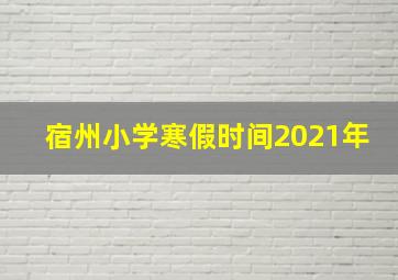 宿州小学寒假时间2021年