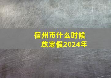 宿州市什么时候放寒假2024年