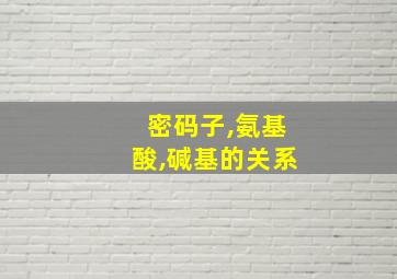 密码子,氨基酸,碱基的关系