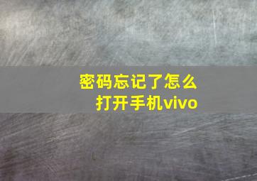 密码忘记了怎么打开手机vivo