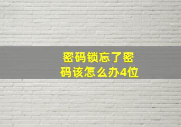 密码锁忘了密码该怎么办4位