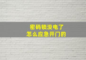 密码锁没电了怎么应急开门的