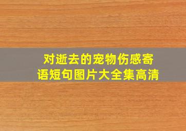 对逝去的宠物伤感寄语短句图片大全集高清