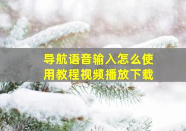 导航语音输入怎么使用教程视频播放下载