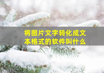 将图片文字转化成文本格式的软件叫什么