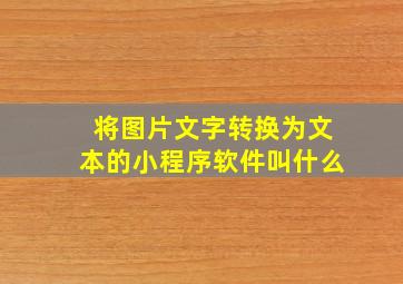 将图片文字转换为文本的小程序软件叫什么