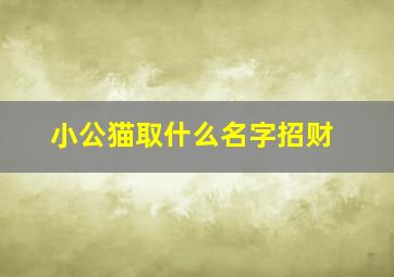 小公猫取什么名字招财