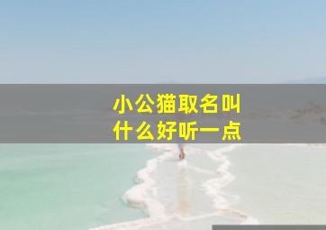 小公猫取名叫什么好听一点