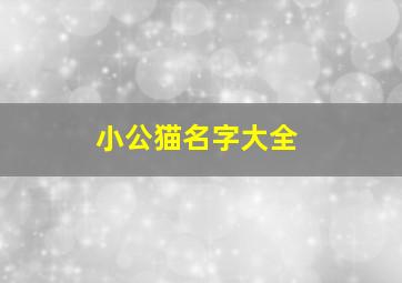 小公猫名字大全