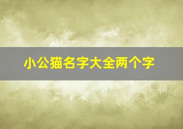 小公猫名字大全两个字