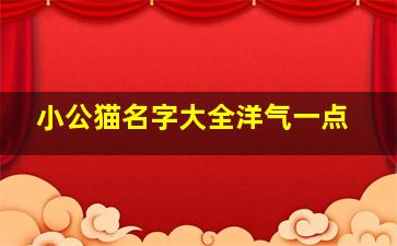 小公猫名字大全洋气一点