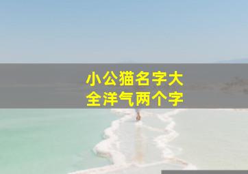 小公猫名字大全洋气两个字