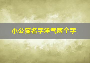 小公猫名字洋气两个字