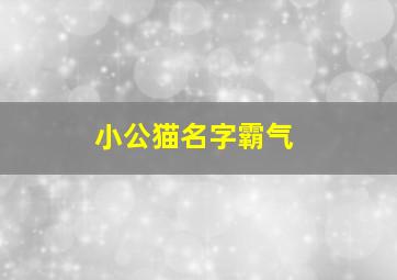 小公猫名字霸气