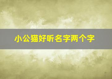 小公猫好听名字两个字