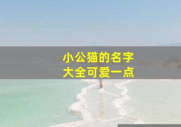 小公猫的名字大全可爱一点