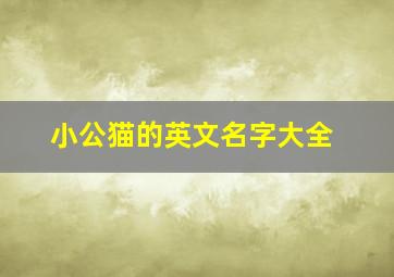 小公猫的英文名字大全