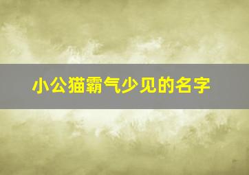 小公猫霸气少见的名字