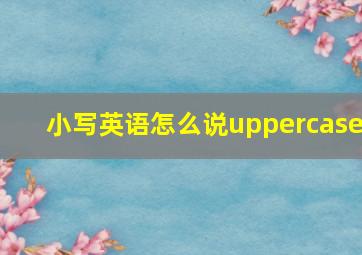 小写英语怎么说uppercase