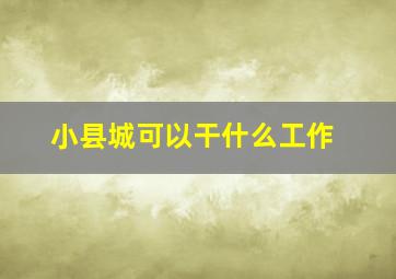 小县城可以干什么工作