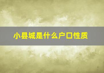 小县城是什么户口性质