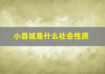 小县城是什么社会性质