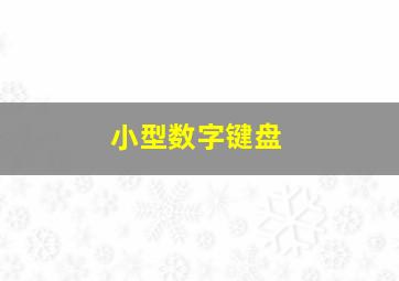 小型数字键盘