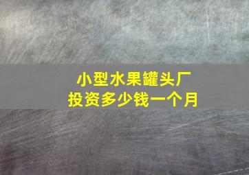 小型水果罐头厂投资多少钱一个月