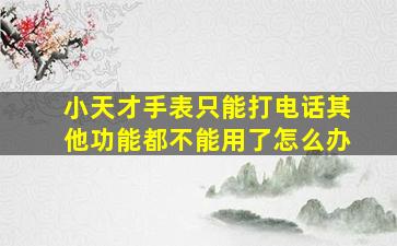 小天才手表只能打电话其他功能都不能用了怎么办