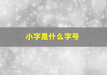 小字是什么字号