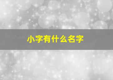 小字有什么名字