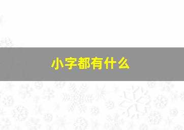 小字都有什么