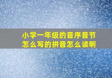 小学一年级的音序音节怎么写的拼音怎么读啊