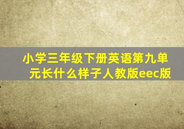 小学三年级下册英语第九单元长什么样子人教版eec版