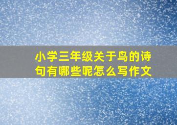 小学三年级关于鸟的诗句有哪些呢怎么写作文